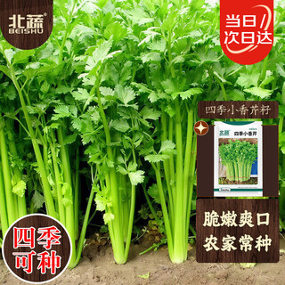 Northern vegetables celery seeds balcony potted southern crispy farmhouse vegetable seeds zhuo crisp four seasons small parsley seeds 5g
