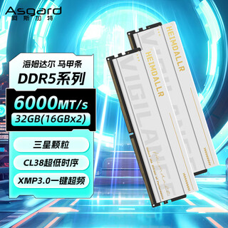 Asgard 32gb (16gbx2) ddr5 6000 desktop memory heimdall vest strip samsung particles cl38 polar white