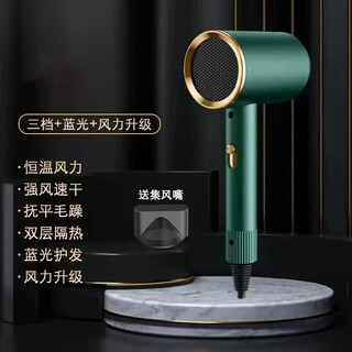 High-power hair dryer, hair salon hair dryer, negative ion hammer hair dryer, student home hair dryer, hot and cold air blowing hair, green 1300w three-speed adjustment + blue light negative ion