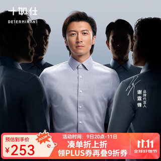 十如仕衬衫男长袖高端白衬衣纯棉高支免烫抗皱商务休闲正装  301 鸽子灰修身版 均码 41/84【175/96A】