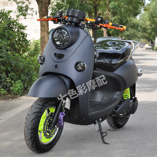 Specializing in european version of little turtle king electric car and motorcycle, complete set of shell, lamp, inner shell, pp parts, white painted parts, matte black, 11 pieces