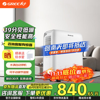 格力（GREE）除湿机/抽湿机 家用除湿量静音低噪小型除湿器卧室客厅宿舍用可24H定时 国家补贴15% 12L/天 2-20㎡ DH12EN