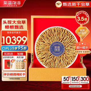 紫蓝花海冬虫夏草 头茬新干虫草滋补品过节送礼滋补礼盒 2-3条/g 100克【甄选量装】