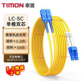 泰盟（TIMON）电信级千万兆光纤跳线 LC-SC单模双芯收发器光模块尾纤 低烟无卤入户光纤线2米TM-GSM-2LCSC2M