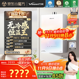 Vanward bailu p9 turbo 7a first-level warm bath without cold feeling 16 liters lower fan gas water heater natural gas 240% supercharged and silent national subsidy 15%