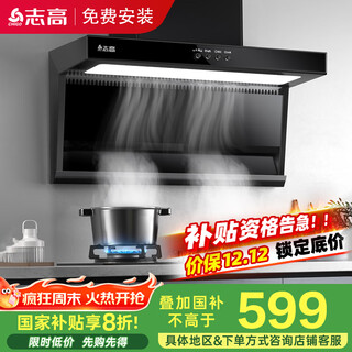 志高（CHIGO）国补油烟机 顶侧双吸抽油烟机家用厨房大吸力一级能效 Q116 国家补贴 立减20%可配燃气灶