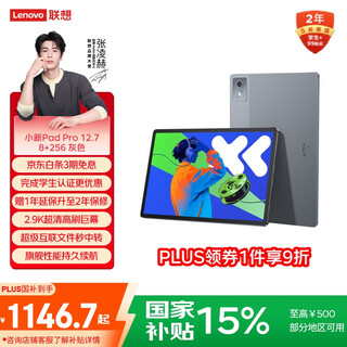 Lenovo xiaoxin padpro12.7 2025 tablet computer 15% national subsidy 2.9k high refresh full screen entertainment and learning 10200mah 8+256g elephant gray