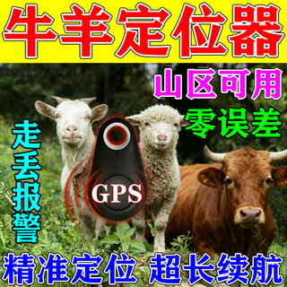 Cattle and sheep positioning gps tracker, rain-proof, no need to charge, mountain animal pet beidou anti-lost tracking instrument 1 trial pack