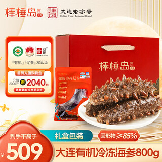 棒棰岛有机大连冷冻海参800g礼盒11-15只 固形物85% 解冻加热即食辽刺参