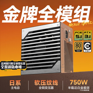 金河田（Golden field）Nexus Gold 750W 白 ATX3.1台式电脑电源 金牌双认证/12V-2*6/日系主电容/稳压5070显卡/压纹线