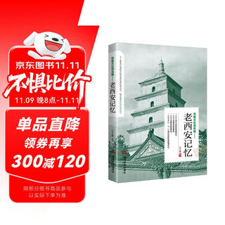 Traveling to famous cities with culture, memories of old xi’an, filming location of black myth wukong