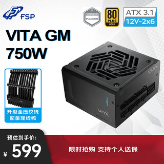 Fsp vita gm 750w gold medal full module power supply (atx3.1/pcle 5.1 12v-2x6 interface/105 industrial grade japanese capacitor/fully embossed wire)