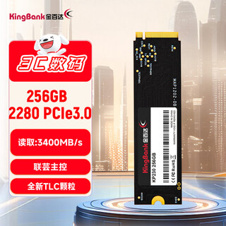 金百达（KINGBANK） 256GB SSD固态硬盘 M.2接口(NVMe PCIe 3.0)  KP230系列