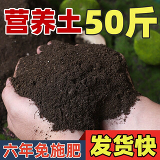 Jingyouyu nutrient soil for flower cultivation, special succulent soil, universal fertilizer, flower planting soil, vegetable soil, household planting soil, flower soil 5kg trial pack, nutrient soil carefully formulated by horticulturists with 30 years of experience