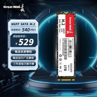 长城（Great Wall）1TB SSD固态硬盘 M.2接口SATA协议 读速550MB/S GW1000系列