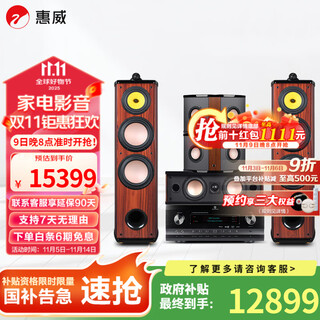 Hivi diva 6.1ht home theater 5.1 channel home theater home dual 8-inch speaker audio ktv package package four (5.0 channel) + at2300pro amplifier