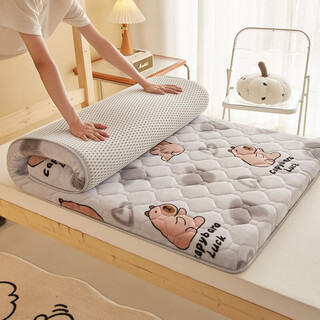 Fantasy kindergarten mattress children's milk velvet sleeping mat tatami mattress student dormitory single cartoon mattress can be customized gray bala warm 5.9cm thick 120cm*190cm