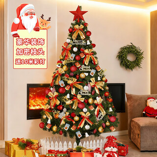 Extreme space christmas tree luxury encrypted package christmas decorations home shopping mall atmosphere layout 1.2 meters including colored lights