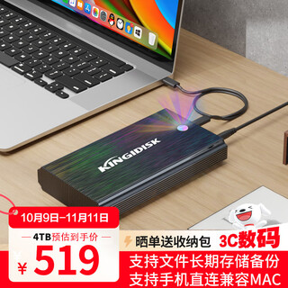 黑甲虫（KINGIDISK）4TB 移动硬盘 3.5英寸 Type-C3.1桌面存储 幻影系列 金属机身 数据仓库 游戏畅玩