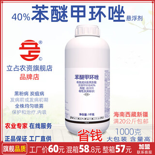 立占40%苯醚甲环唑玉米黑粉病西瓜炭疽病农药杀菌剂 1000g