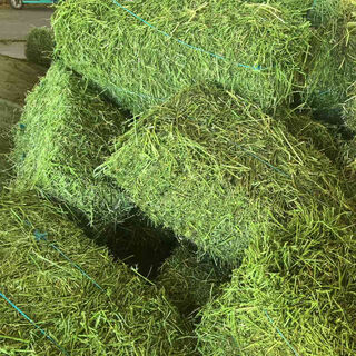 Alfalfa hay for cattle, sheep and horses, sheep grass, alpaca large zoo feed, alfalfa 5kg