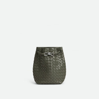 Bottega veneta bottega veneta's new early spring women's small andiamo bucket bag bv women's bag sour olive green one size