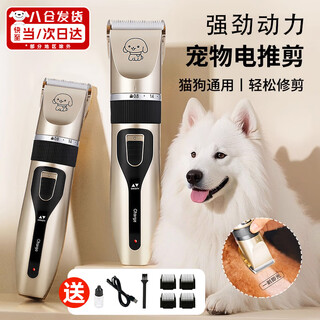 Pet shaver, cat and dog shaving, pet hair clipper, electric clipper, hair clipper, dog hair clipper, grooming tool, pet clipper
