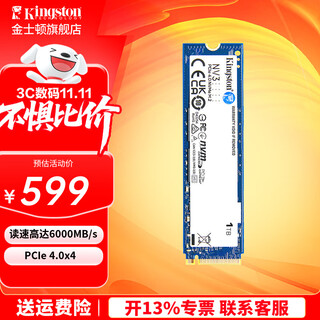 金士顿（Kingston）SSD m2固态硬盘 台式机笔记本 (M.2接口 NVMe协议) NV3 1TB PCIe 4.0