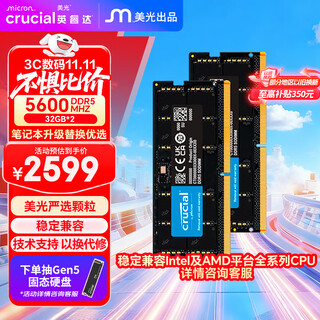 Crucial 64gb (32gb 2) set ddr5 5600 frequency notebook memory stick micron (formerly micron) original chips