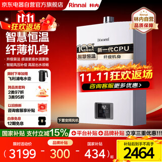 Rinnai 16-liter gas water heater, 15% national subsidy, smart constant temperature, newly upgraded cpu, natural gas frequency conversion, household small volume trade-in gs41