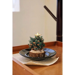 Preserved flowers mini christmas tree handmade gifts cedar pine cones car interior decoration desktop ornaments souvenirs 1 short pine cone christmas tree_height 9-10cm