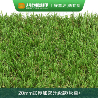 Ccgrass simulated lawn outdoor turf home yard roof terrace kindergarten fake grass gym artificial turf football
