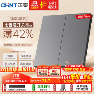 正泰（CHNT）开关插座 X5S超薄肤感开关 二开双控开关 大面板 丝绒灰