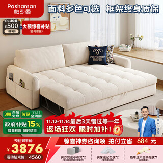 Pashaman government subsidy cat scratch fabric sofa bed all-in-one dual-use 2025 folding small apartment 2.50 meters 2524zf