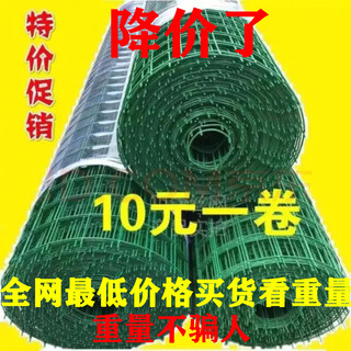 Barandilla de alambre de púas, cerca para pollos, gansos y patos, red de cría doméstica, rejilla protectora para carreteras engrosada, precio especial de 1 metro de alto, orificio de 3 cm y 5 metros de largo