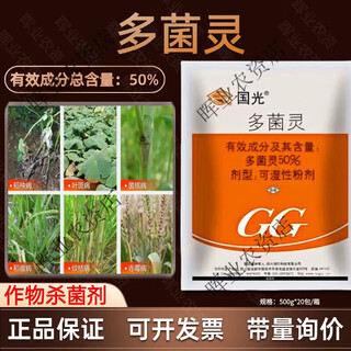 Guoguang 50% carbendazim plant and flower household fungicide rose black spot disease succulent bituminous black rot anther 500g*10 pack