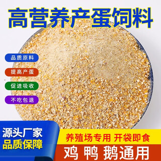 Laying hens are fed with full-price feed for laying hen breeding. household feed for egg production. highly nutritious chicken feed. special grain for hens. twenty jin jin is equal to 0.5 kilograms of feed.