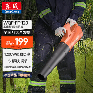 Dongcheng hair dryer high power wqf-ff-120 storm blower leaf industrial hair dryer