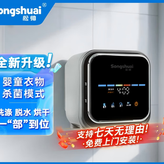 Songshuai mini machine à laver à conversion de fréquence, machine à laver murale entièrement automatique pour sous-vêtements et chaussettes, déshydratation et séchage, lavage et séchage des sous-vêtements en un, recommandé pour les nourrissons, les mères et les nourrissons, lavage, séchage et retrait intelligents par conversion de fréquence, mural (gris argenté)