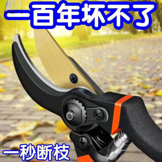 Znmw branch cutting scissors, fruit tree pruning shears, garden thick branch pruning scissors, flower pruning shears for picking fruits, pruning shears with handle sheaths