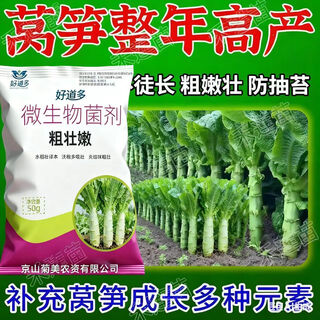 Lettuce is short, strong, tender, strong, anti-cracking, anti-hollow, and non-bolting. special medicine for controlling growth and increasing production of lettuce, 5 bags