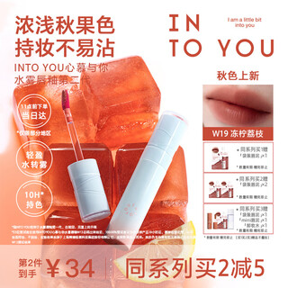 Into you water mist lip glaze nude lip gloss moisturizing matte not easy to stick birthday gift for female students w19 frozen lemon lychee