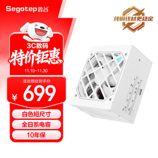 Segotep dm-1000g iceberg version double gold medal full-mode digital power supply (white short size/full japanese capacitor/atx3+1000w supports 5080 graphics card 10-year warranty)