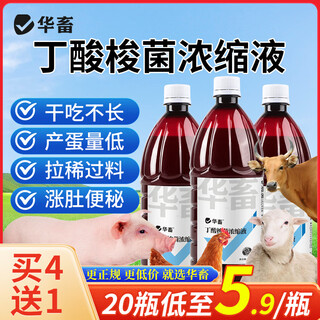 Huazhu veterinary poultry probiotics compound chicken probiotics liquid enterococcus faecalis gastrointestinal tract balanced feed-to-meat ratio for chickens 1 bottle buy 4 song 1 clostridium butyricum stock solution 1l