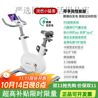 You mei spinning bike home intelligent ultra-quiet indoor bike fitness home sports equipment high-performance version - installation included - rs quick burn - whole