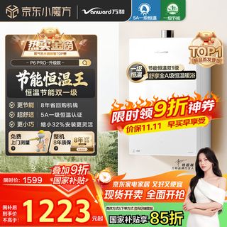 Vanward bailu p6 pro level 1 constant temperature, 15% national subsidy, 16 liters of natural gas water heater, dc frequency conversion, energy-saving, supercharged, large water volume, pear blossom white