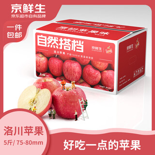Jingxiansheng shaanxi luochuan red fuji apple net weight 5jin jin is equal to 0.5kg single fruit 75-80mm straight from the source