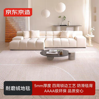Made in tokyo, living room carpet, bedroom modern simple nordic light luxury anti-slip coffee table carpet earth-200*300cm