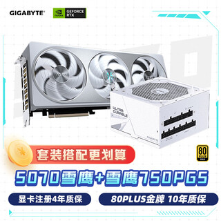 技嘉（GIGABYTE）雪鹰 5070 AERO OC 12G 显卡 + 750W雪鹰金牌电源套装