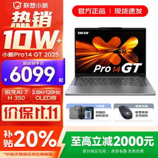 联想小新14/小新Pro14 2025补贴可选 高性能超轻薄笔记本电脑 标压锐龙版 学生游戏设计办公本 锐龙AI 7 32G 1T｜Pro14GT国补 防眩光护眼屏｜DC调光无闪烁